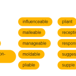 How you can stay plastic (flexible) for years with MDriven